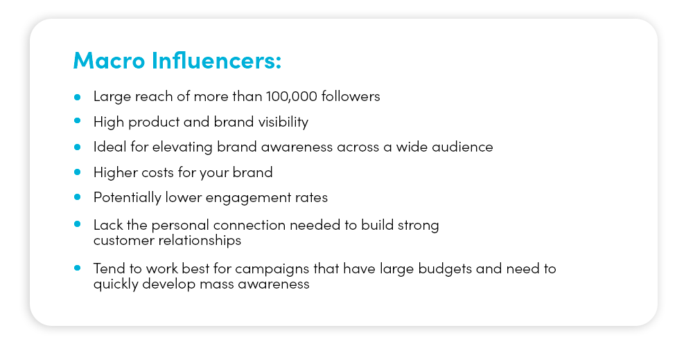 macro influencers