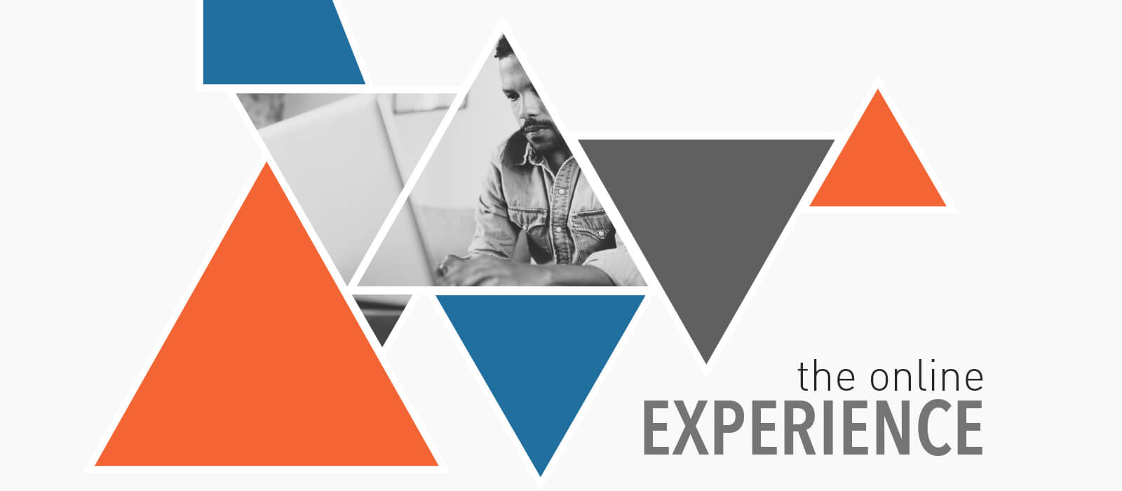 The Online Experience